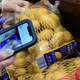 Instacart employee Monica Ortega uses her cellphone to scan barcodes showing proof of purchase for the customer while picking up groceries from a supermarket for delivery on March 19, 2020 in North Hollywood, California.